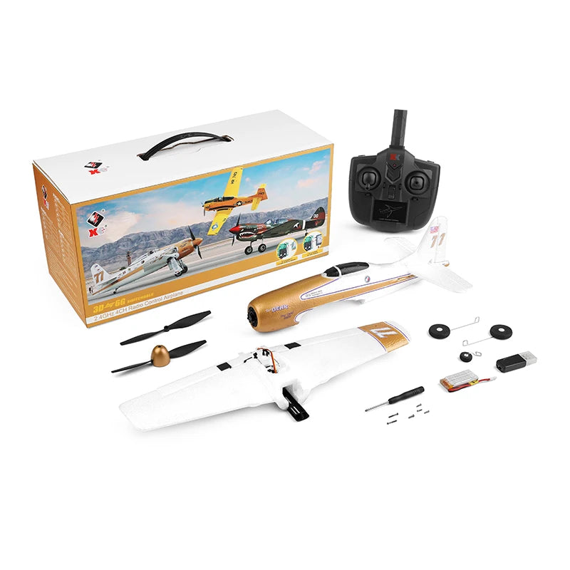 WLtoys A220 A210 A260 RC Plane 24G 6G Stunt Outdoor