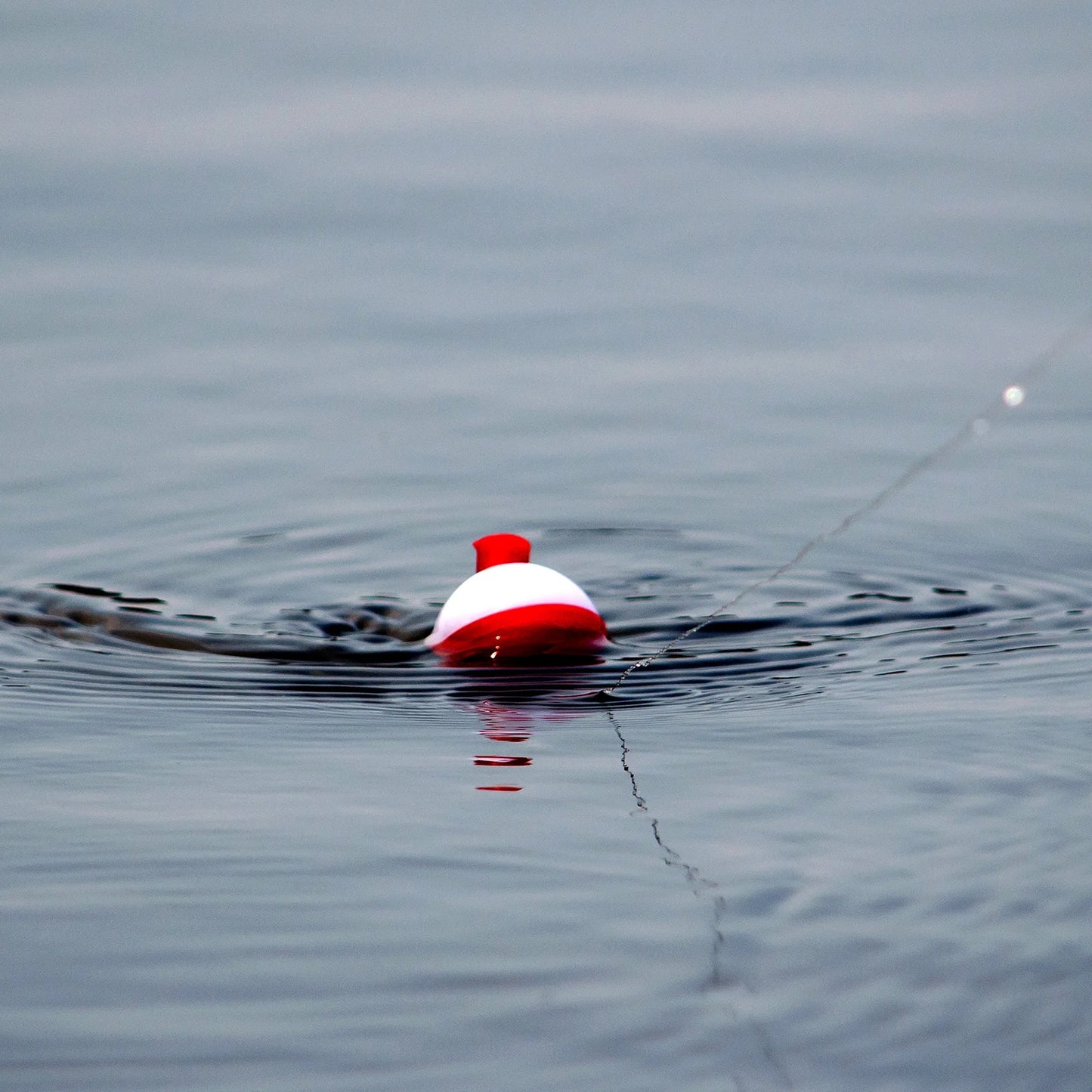 Fishing Bobber, 50 Pack Hard ABS Push Button Round Buoy Fishing Float Tackle, Red and White