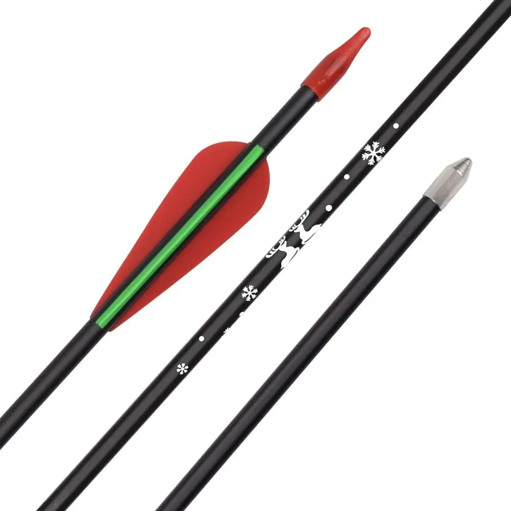 12 Fiberglass Arrows Set For Recurve Bow Practice Beginners