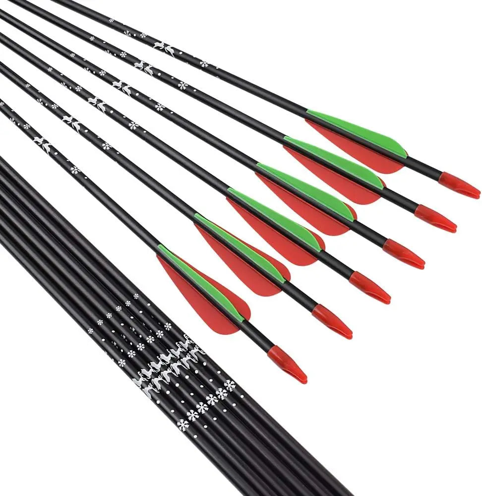 12 Fiberglass Arrows Set For Recurve Bow Practice Beginners
