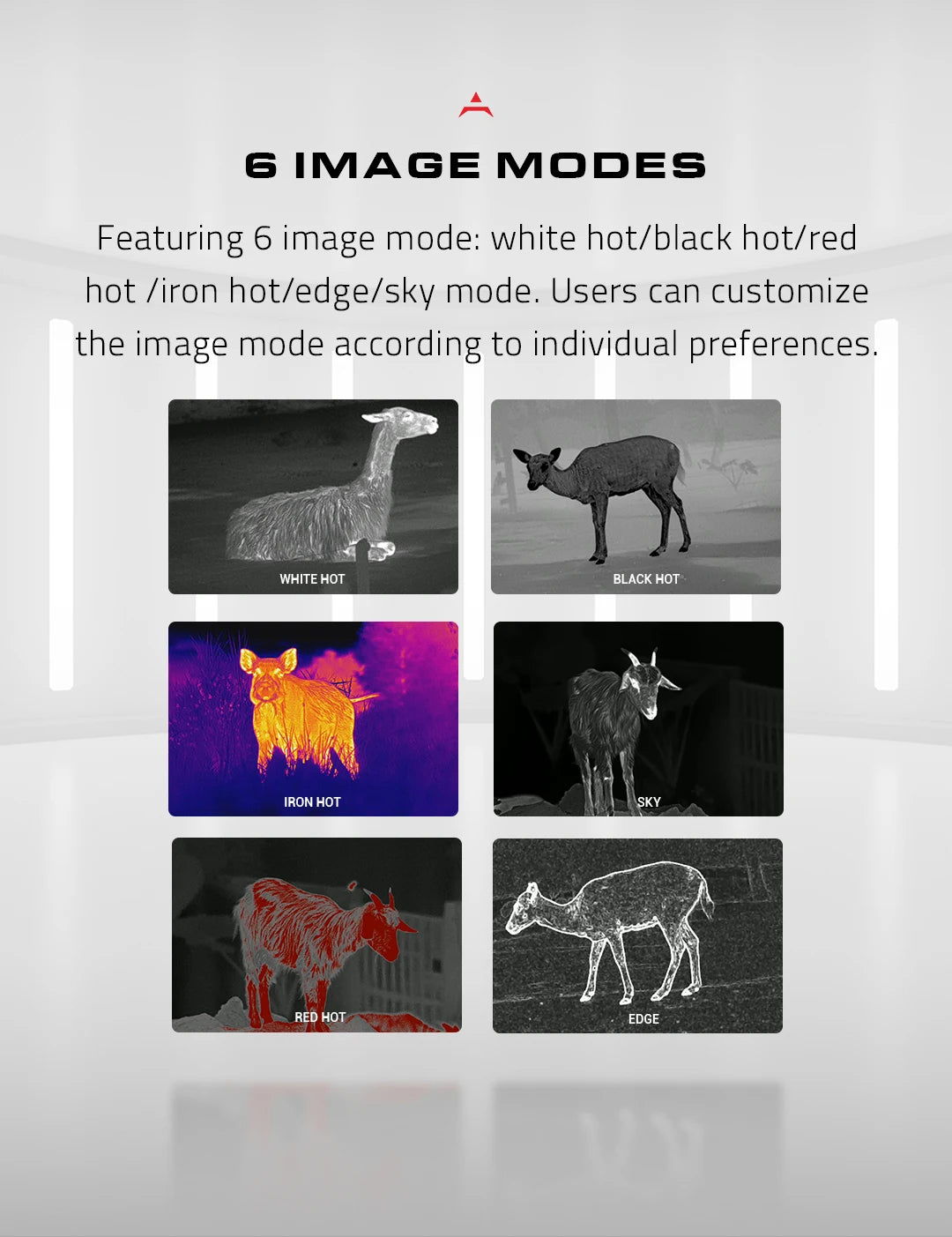 Pard Harrier Hunting Thermal Imaging Binocular Built-in Rangefinder 20mK 12μm Video Recording Camera