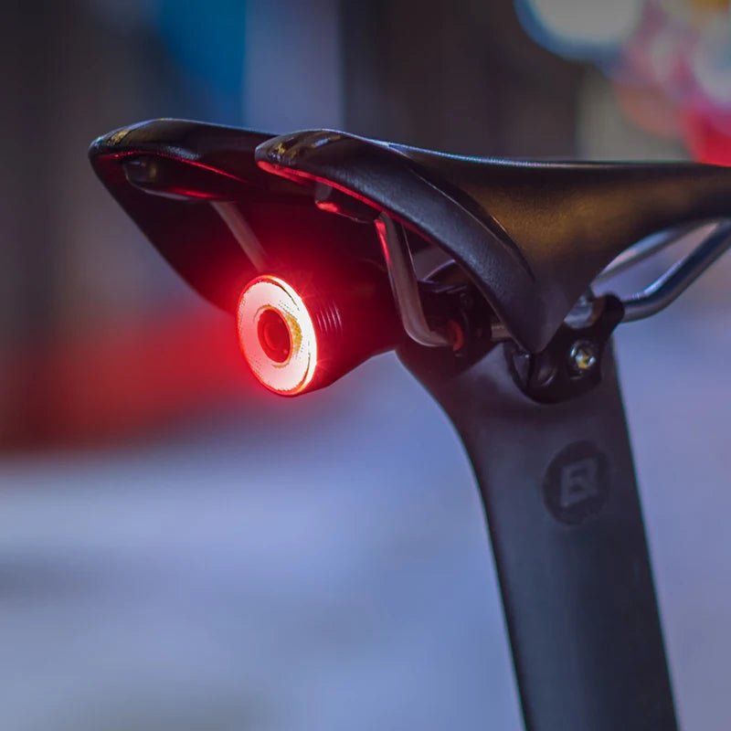 Rockbros Bicycle Smart Auto Brake Sensing LED Taillight IPX6