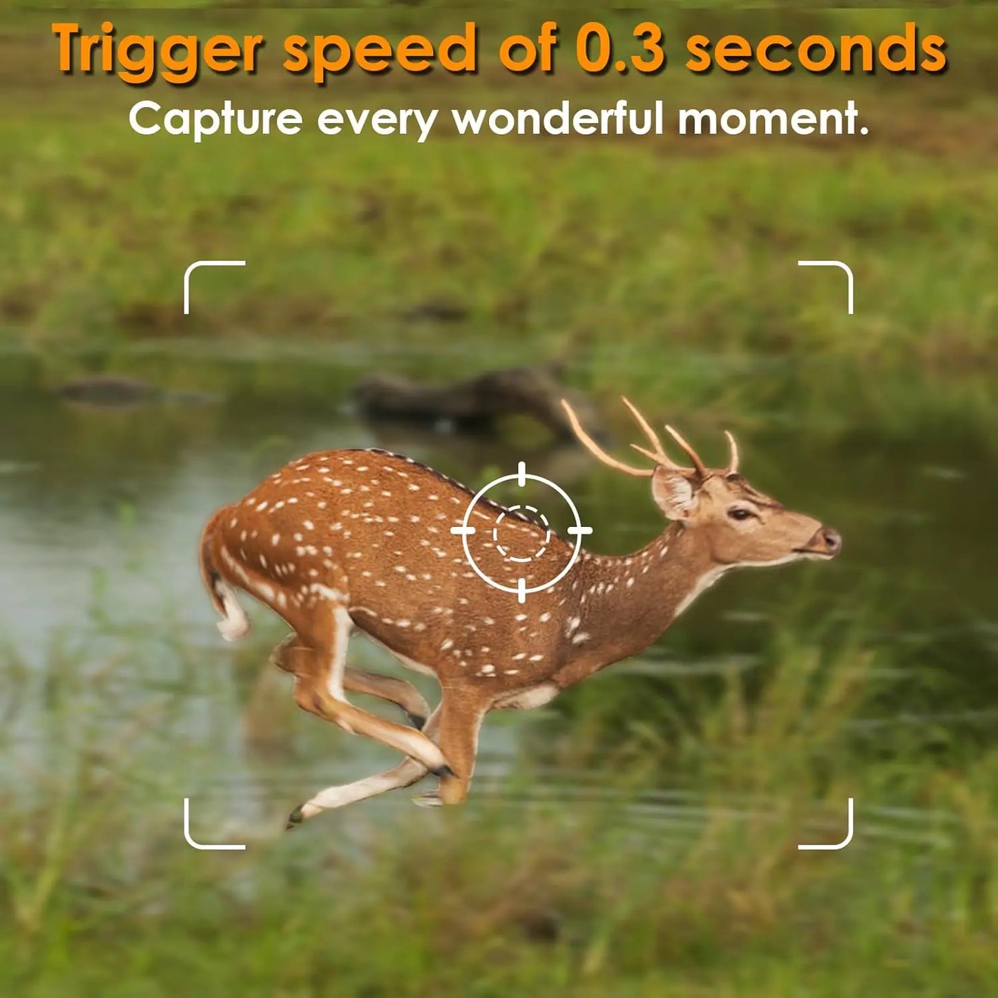 5-Pack Game & Trail Camera 32MP 1296P HD Video Night Vision Motion Activated IP66 Waterproof No Glow for Outdoor Wild