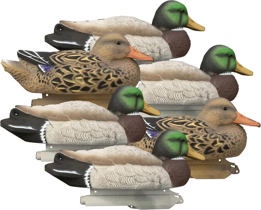 Standard Mallard Filler Pack Duck Decoys | Ultra Realistic Drake & Hen Decoys for Waterfowl Hunting | Foam-Filled