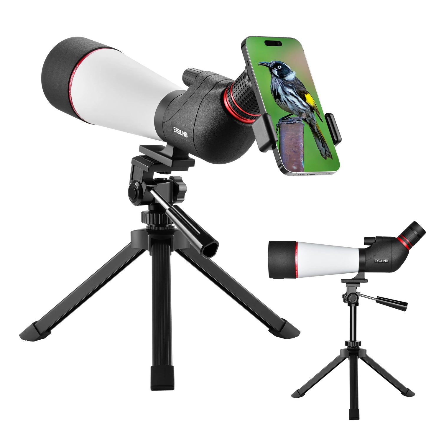 20-60X Zoom Spotting Scope 80mm Objective Lens Tripod For Hunting
