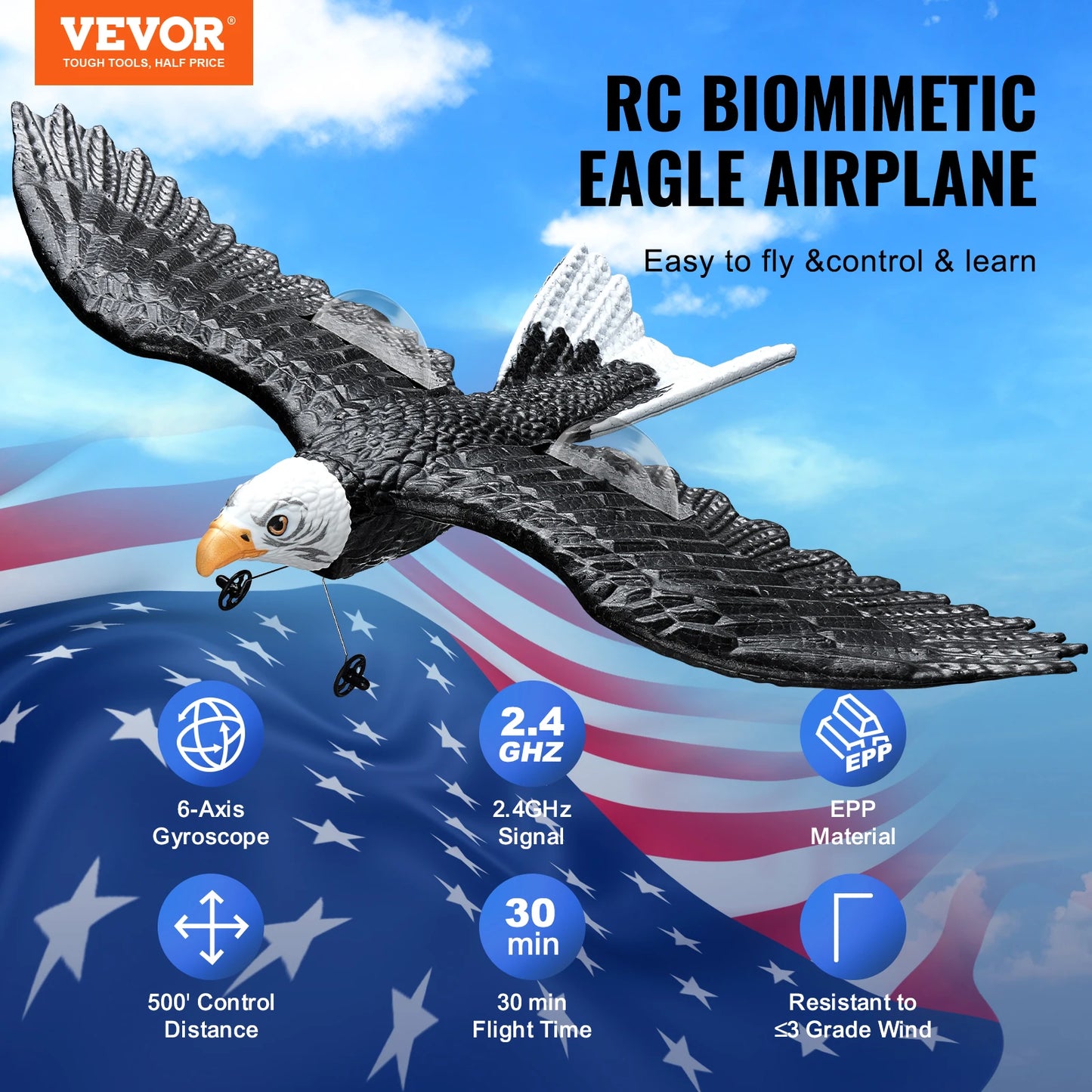 SucceBuy RC Plane Wingspan Eagle Fighter 2CH 2 Batteries