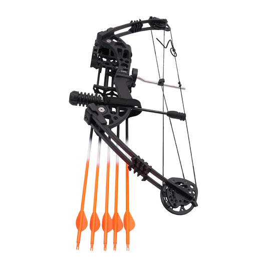Compound Bow Kit 30 To 60 Lbs Archery Set With 12 Arrows