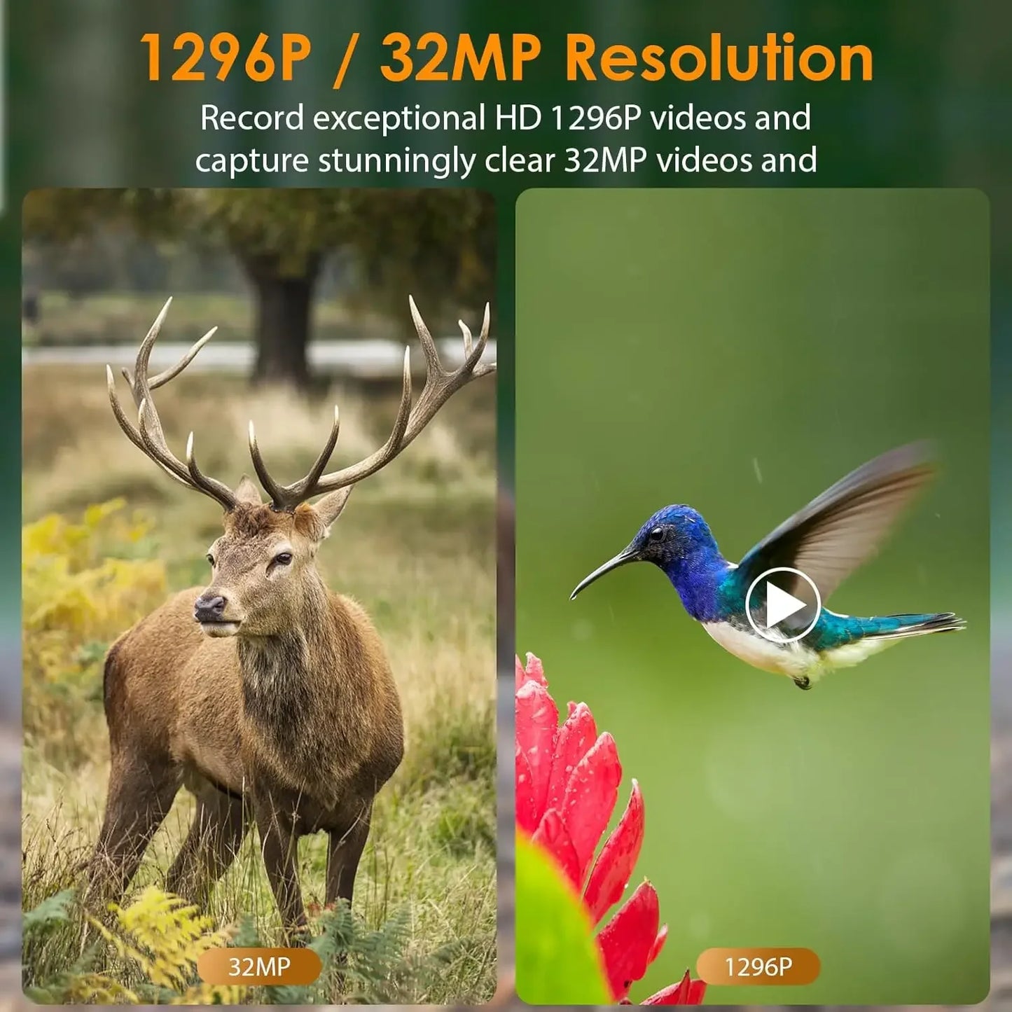 5-Pack Game & Trail Camera 32MP 1296P HD Video Night Vision Motion Activated IP66 Waterproof No Glow for Outdoor Wild